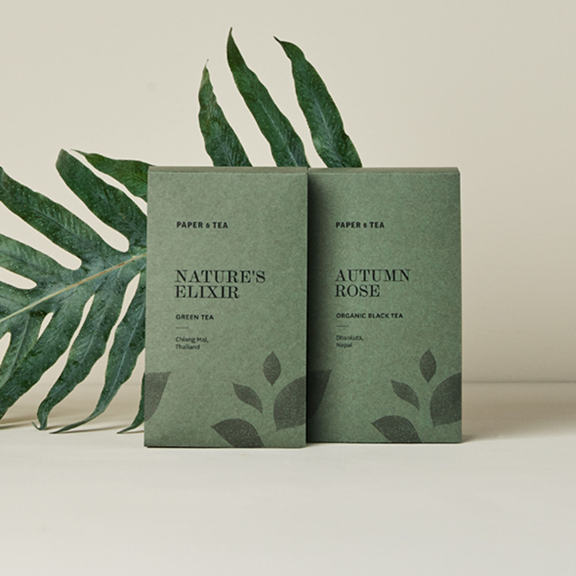 Zwei Packungen Papier & Tea mit grünem, strukturiertem Design und Tropenblatt-Dekoration.