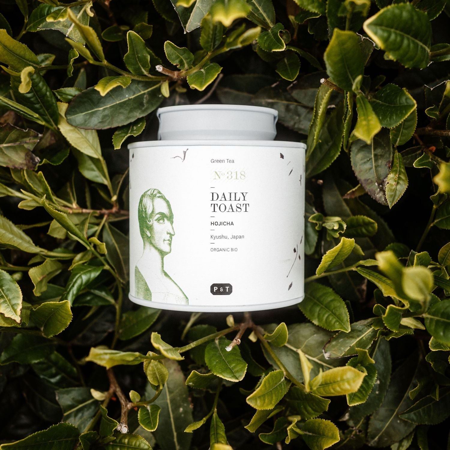 Zylindrische weiße Verpackung von Green Tea Hojicha aus Kyushu mit vintage grünem Bild, umgeben von Teeblättern.