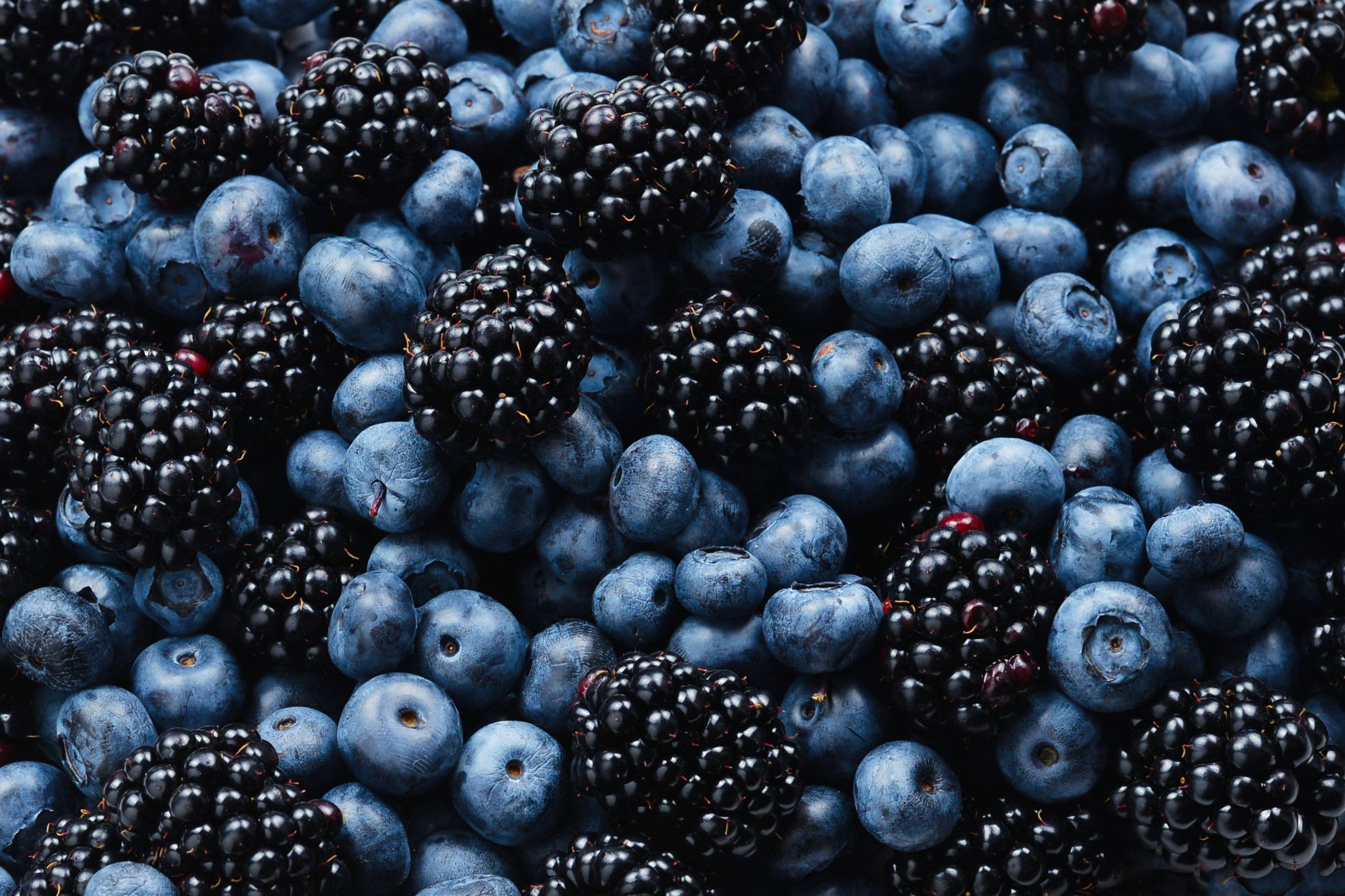 Nahaufnahme reifer Heidelbeeren und Brombeeren, reich an Antioxidantien
