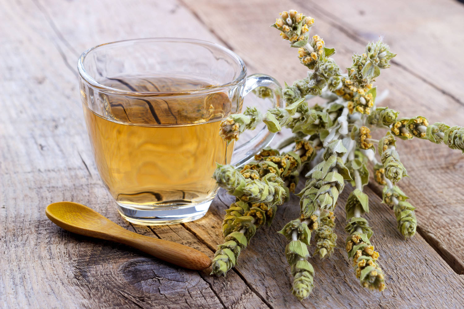 Glas mit Kräutertee auf Holztisch neben gelben Blüten