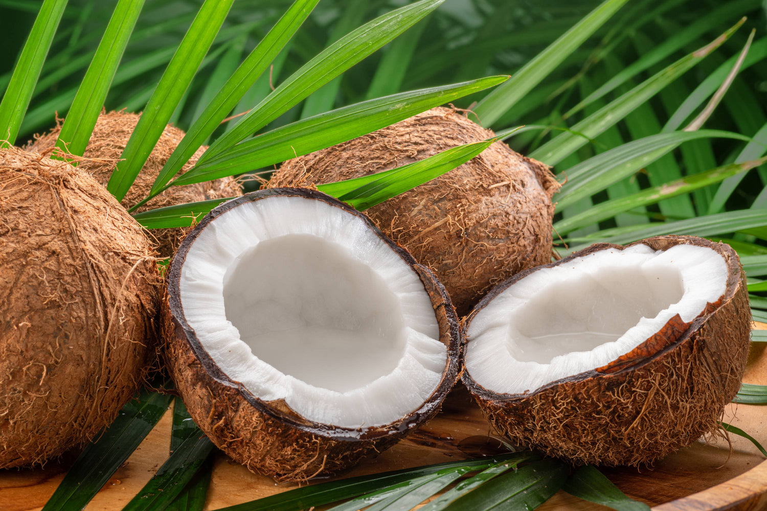 Kokosnüsse