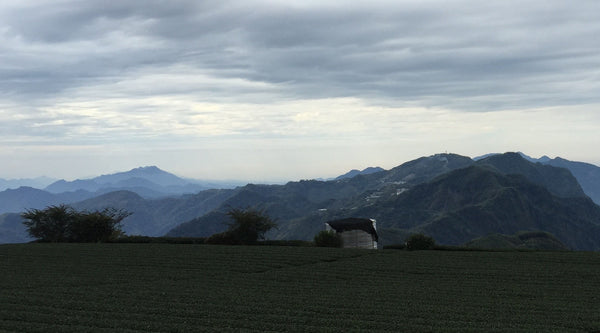 Eine Hommage an Taiwan
