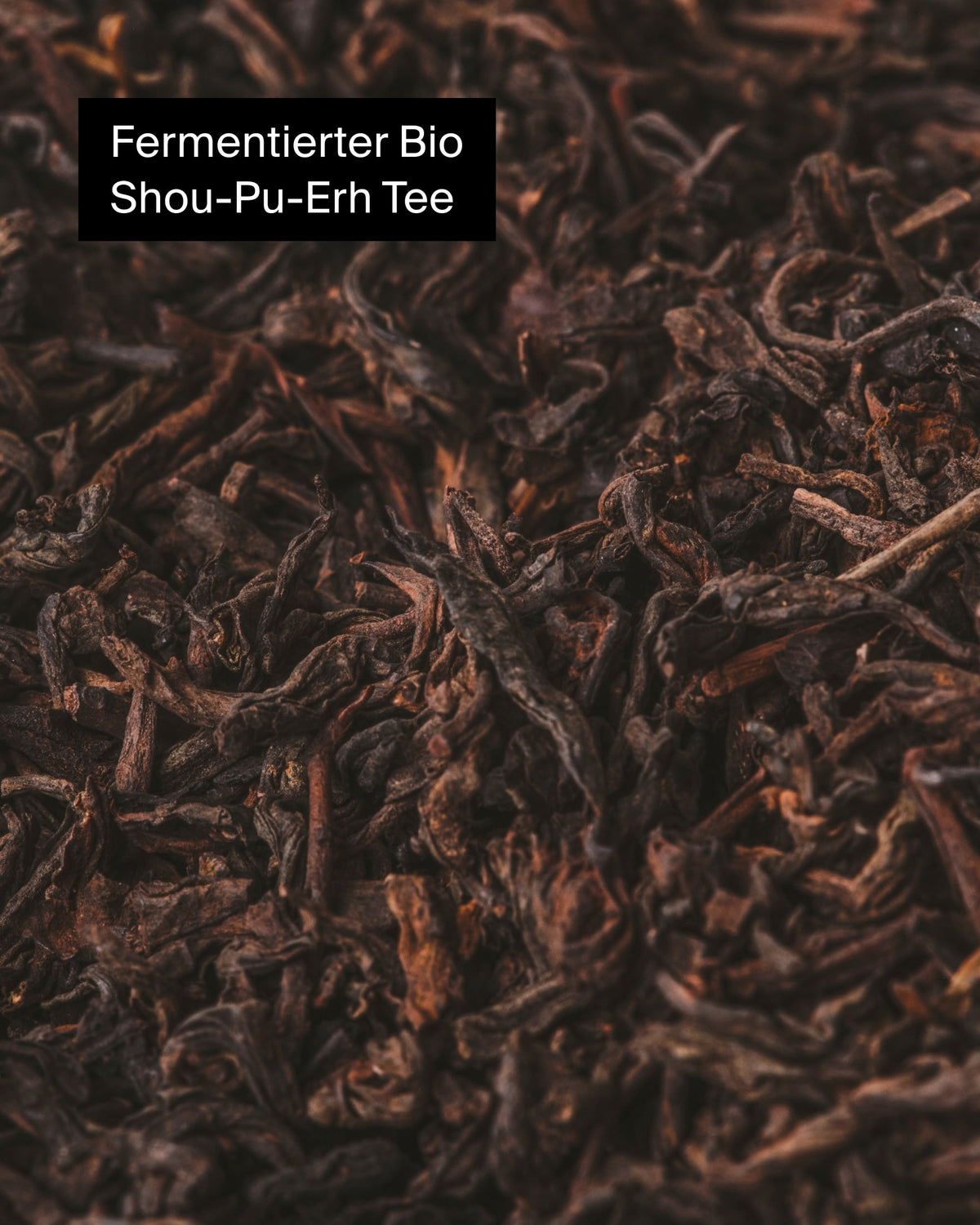 Makroaufnahme fermentierter Bio-Shou-Pu-Erh-Teeblätter mit dunklen, verdrehten Blättern und natürlicher Textur