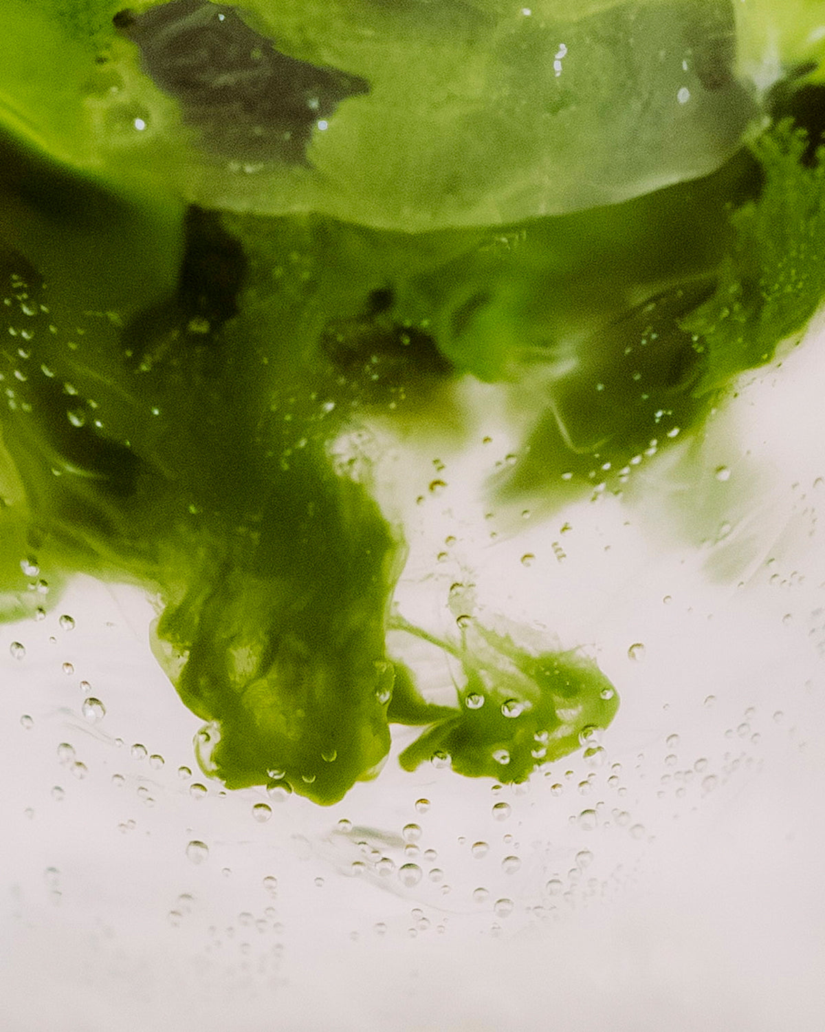 Grüner Teeextrakt verteilt sich im klaren Wasser mit kleinen Bläschen, symbolisiert Frische bei P&T Tees.