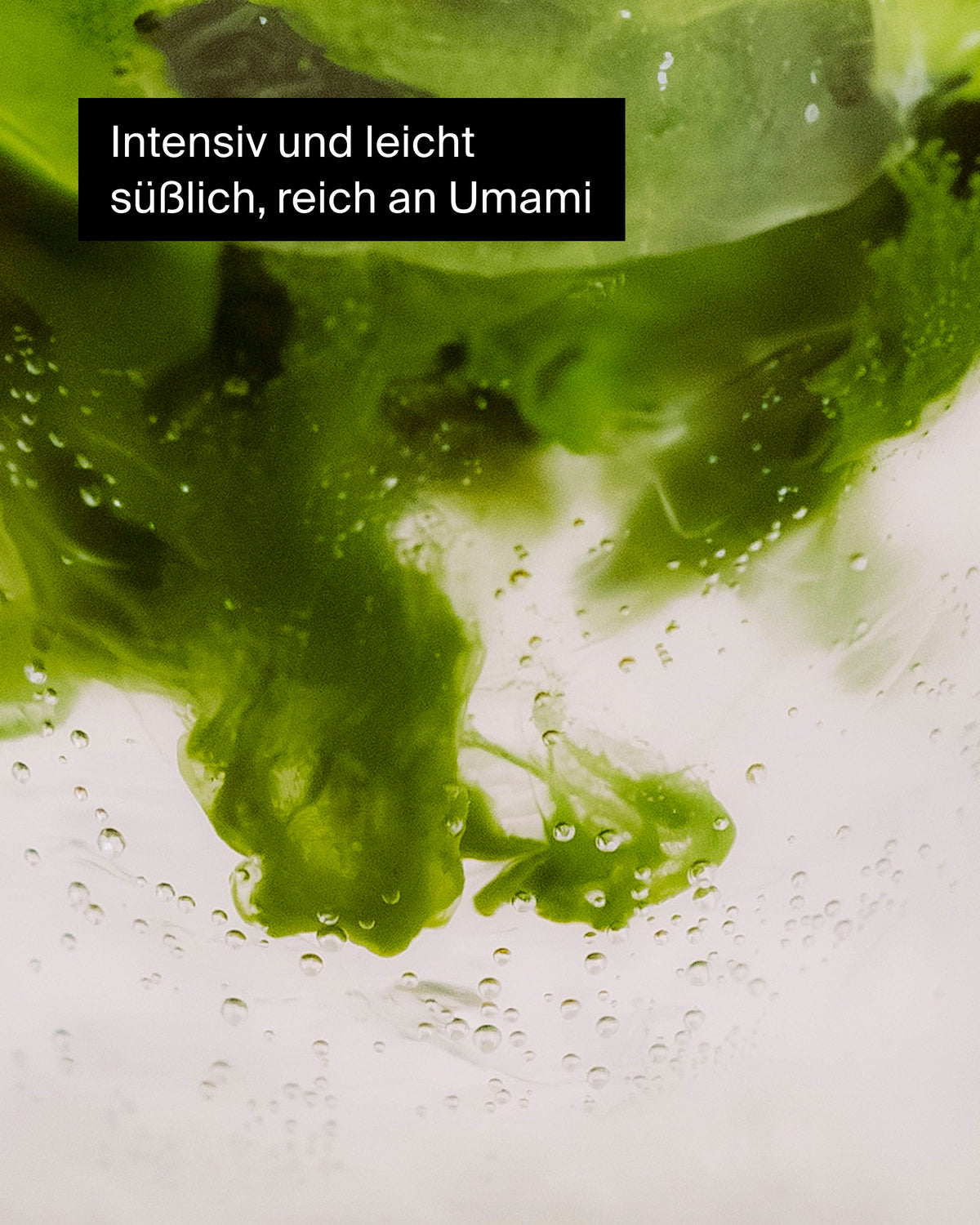 Nahaufnahme grüner Pflanzenstrukturen in klarer Flüssigkeit mit Bläschen